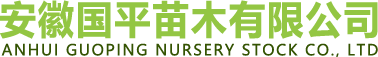 黃岡市偉燦苗木有限公司【官網】